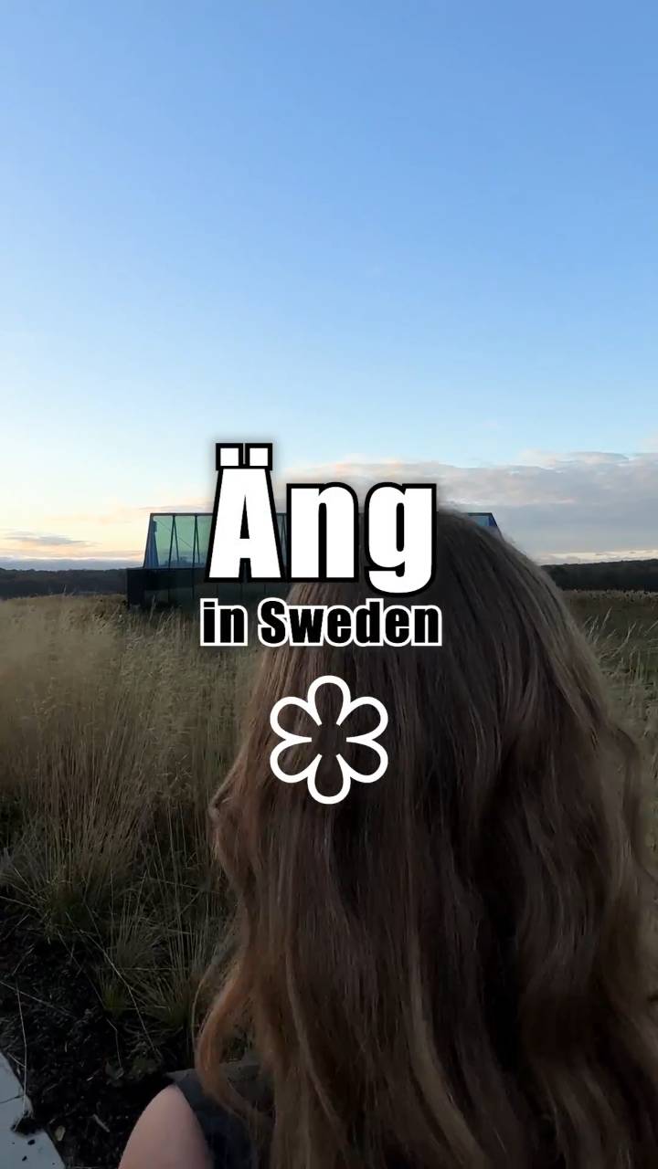 Slik ser et måltid ut på Restaurant Äng i Halland, Sverige
