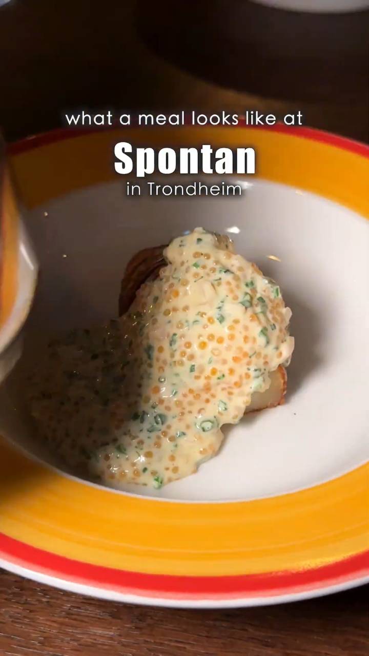 Hva et måltid ser ut som på Spontan Vinbar i Trondheim