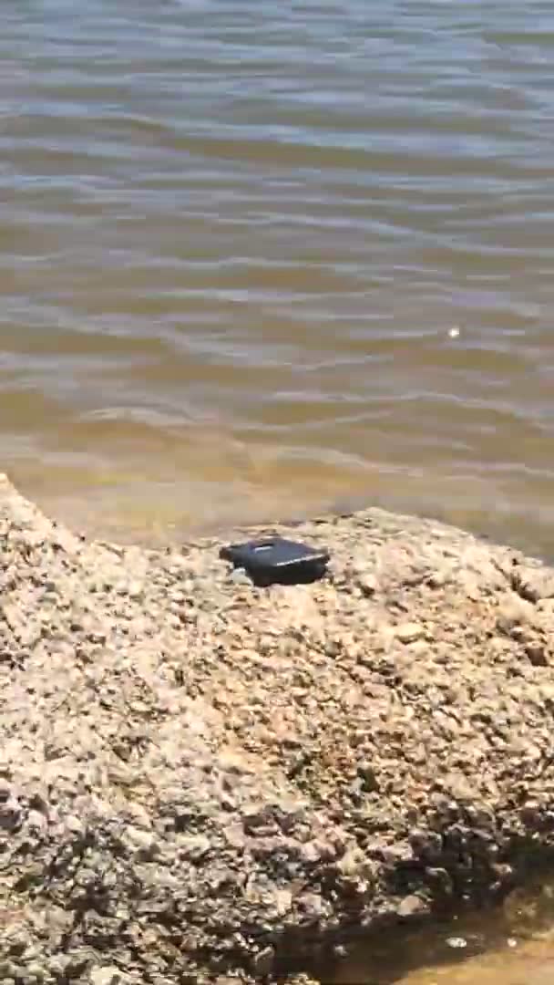 Out of all the places my phone could've landed