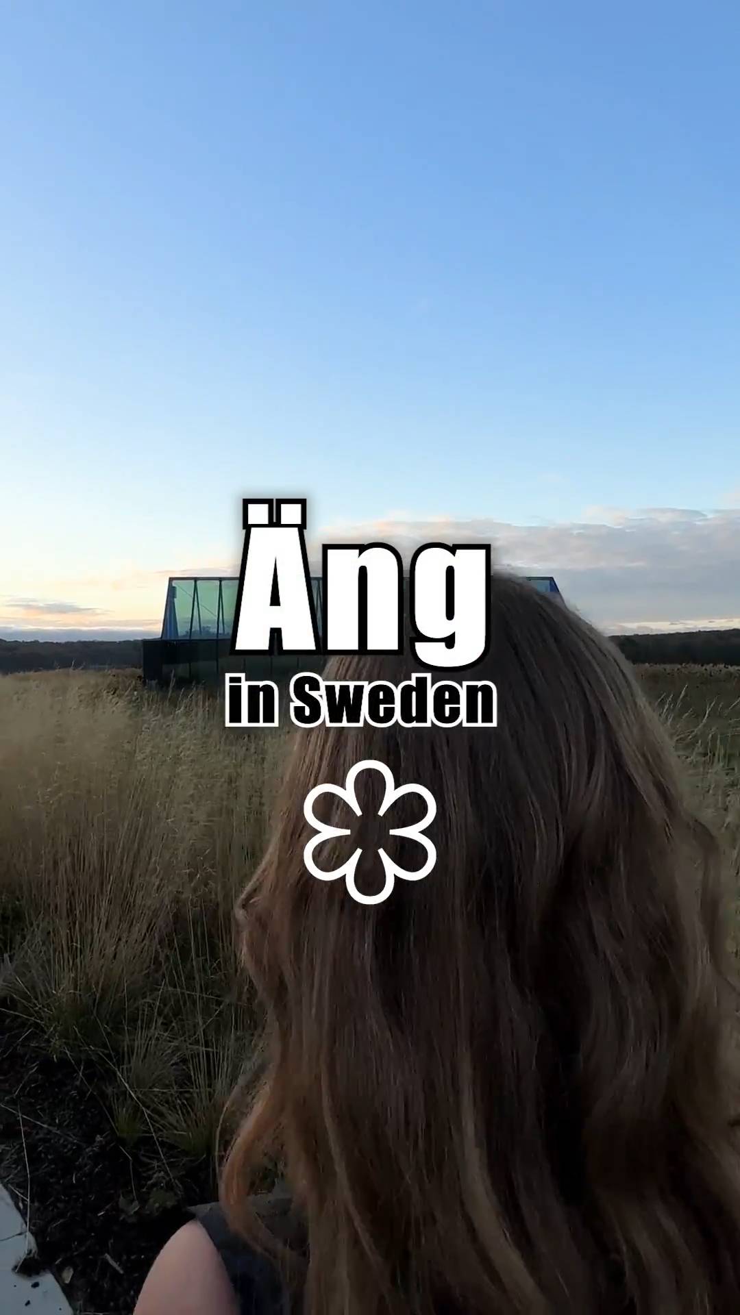 Slik ser et måltid ut på Restaurant Äng i Halland, Sverige