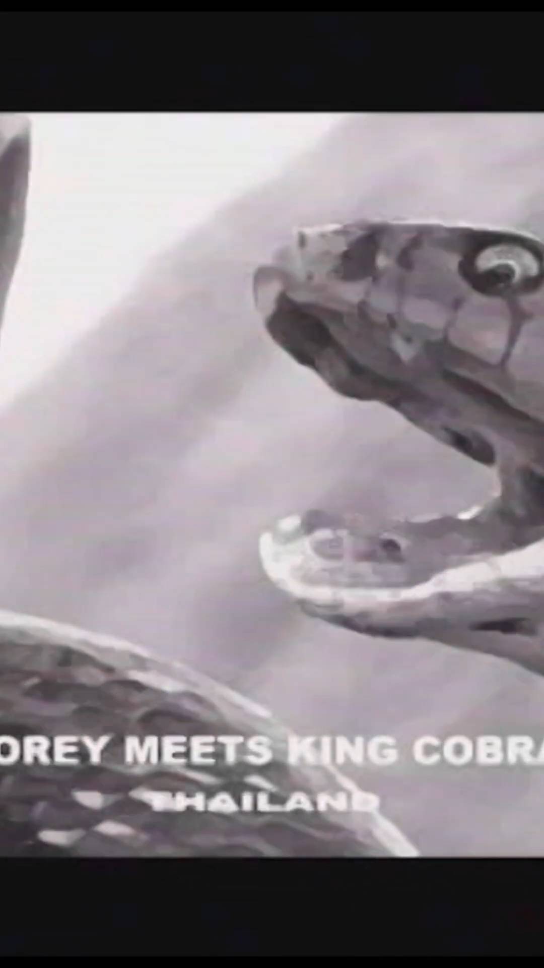 The snake dude