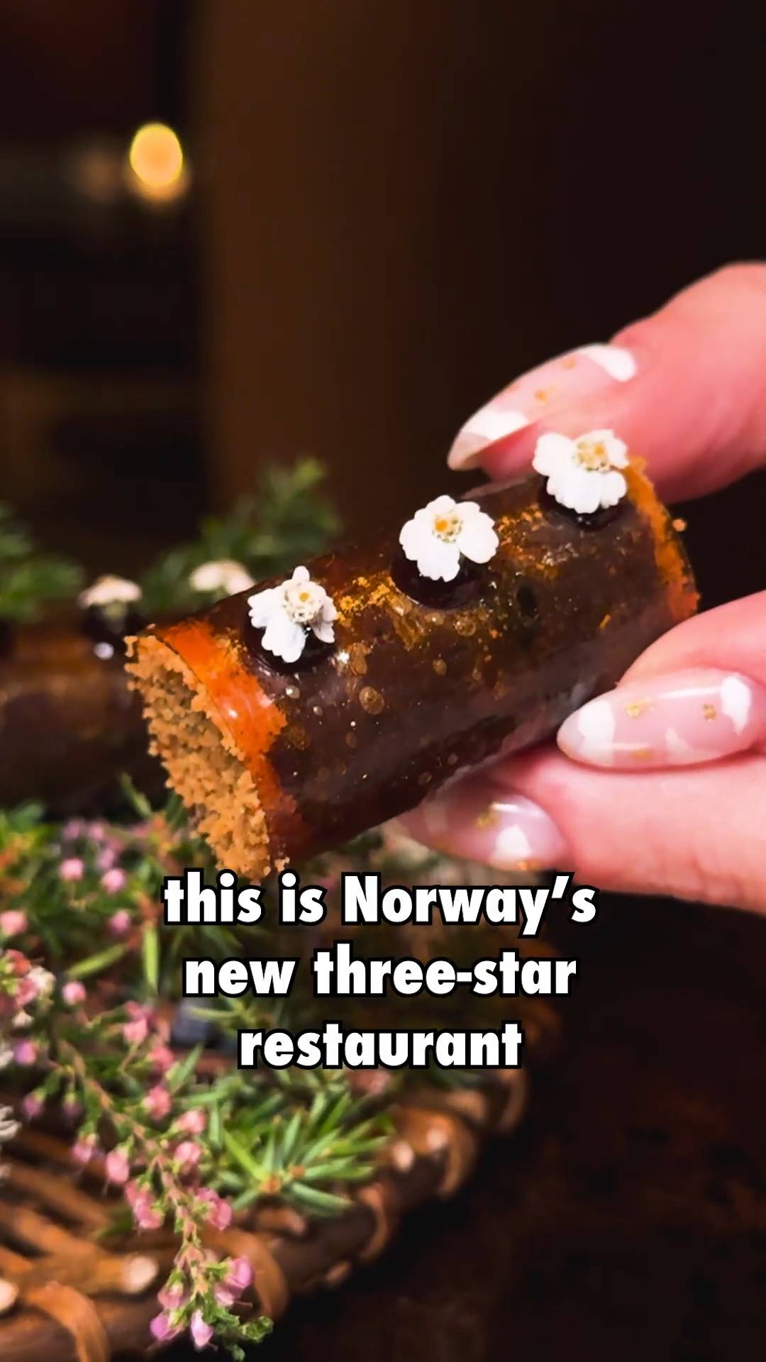 Hva et måltid ser ut som på tre Michelin-Sjerne Restauranten Re-naa i Stavanger